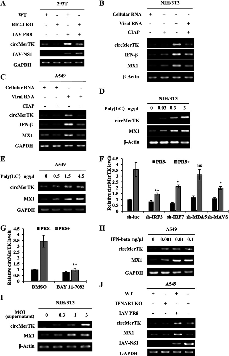 FIG 4