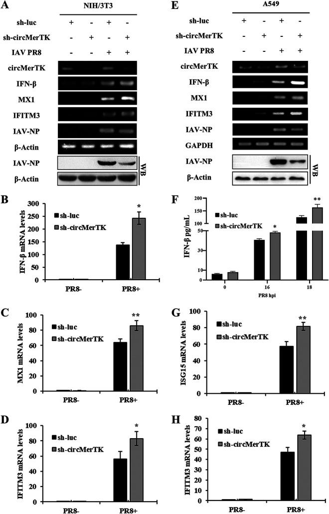 FIG 6