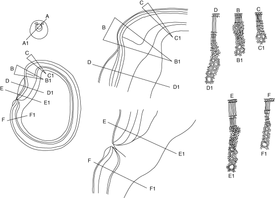 Fig. 10.