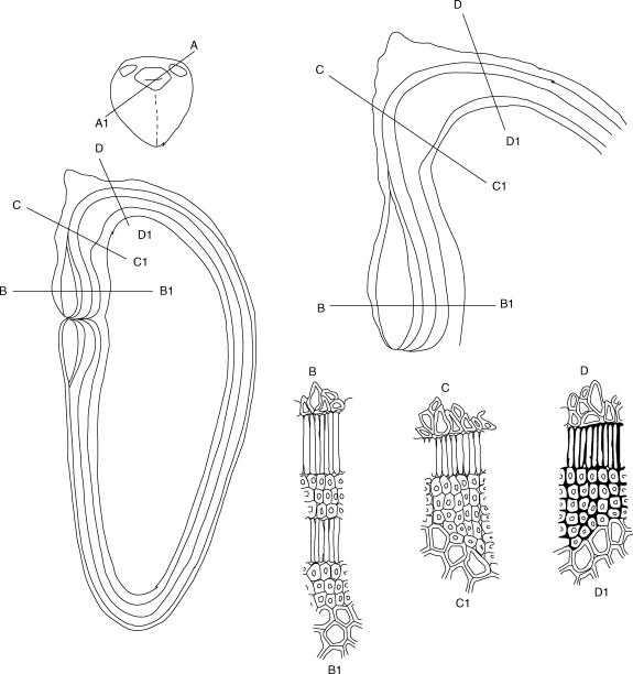 Fig. 11.