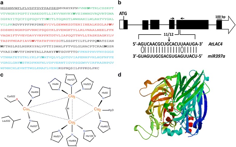 Fig. 3