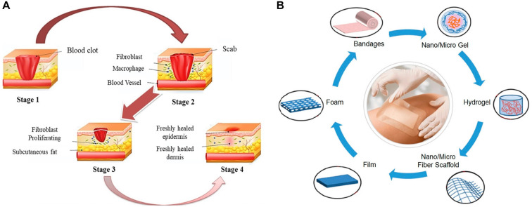 FIGURE 1