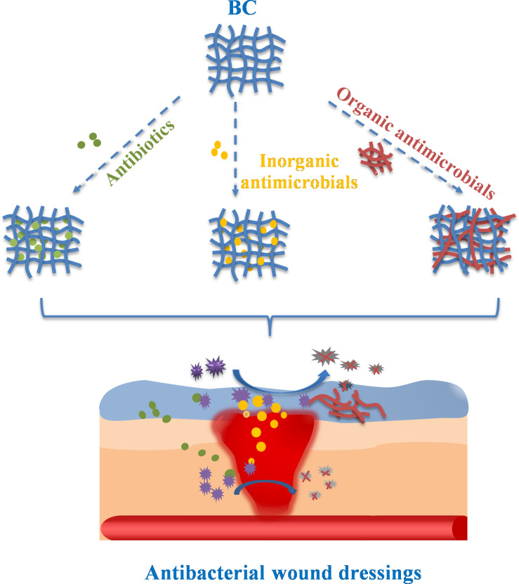 FIGURE 2