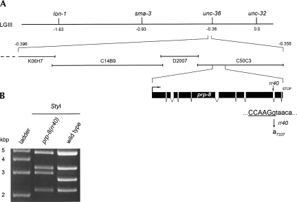 FIGURE 4.