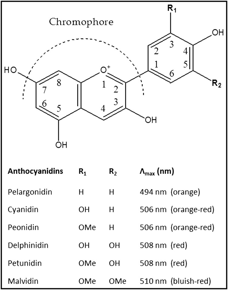 FIGURE 1