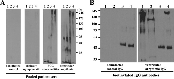 FIG 3