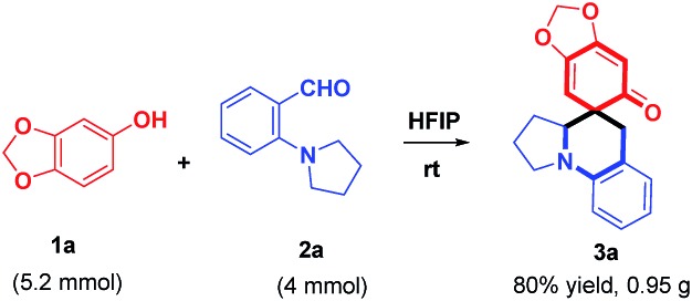 Scheme 5