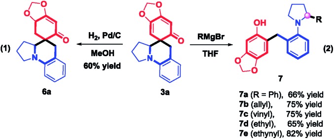 Scheme 6