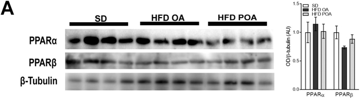 Fig. S3