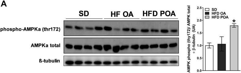 Fig. S1