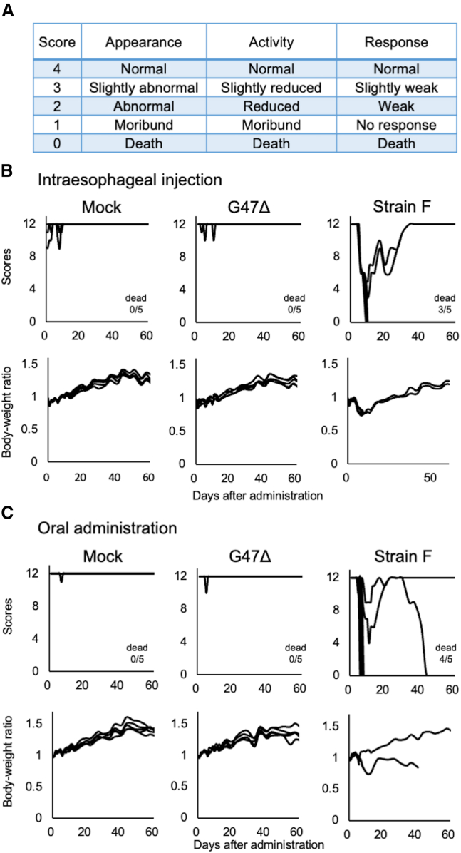 Figure 5