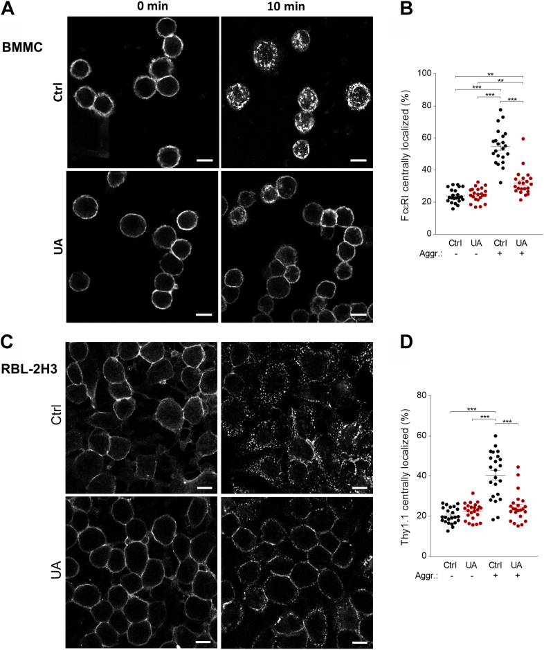 Figure 7