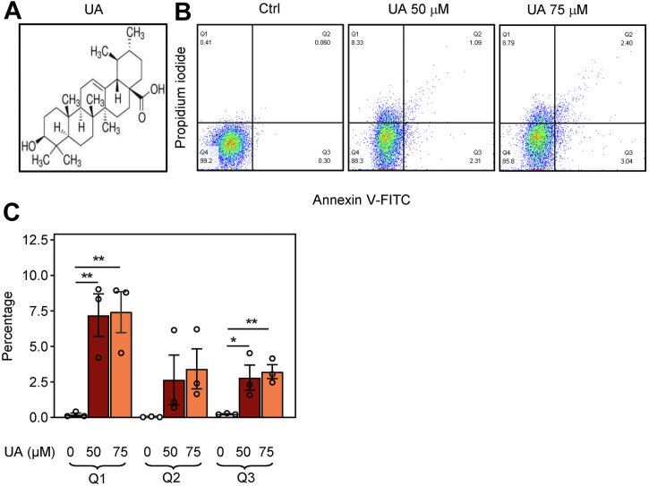 Figure 1