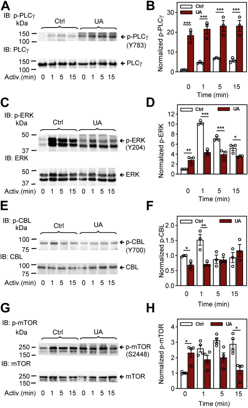 Figure 5