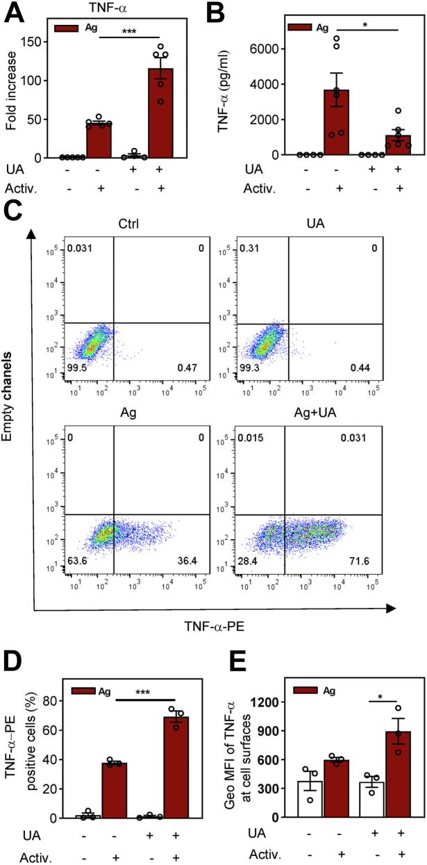 Figure 3