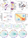 Figure 4. Comparison of the microenvironment in healthy pancreata and pancreatic tumors reveals distinct stromal features. A, UMAP of all cells captured from single-cell RNA sequencing of six donor pancreata merged with 15 PDAC samples and 3 adjacent normal samples. Populations are identified by color. B, Histogram of cell-type abundance of all cell populations by disease state [healthy, adjacent normal (AdjNormal), and tumor]. C, Neighborhood graph differential abundance plot of the merged tumor, healthy, and adjacent normal samples. Size of dots represents neighborhoods, whereas edges represent the number of cells shared between neighborhoods. Neighborhoods colored in red represent significantly increased abundance in healthy samples, whereas neighborhoods colored in blue represent significantly increased abundance in tumor samples. logFC, log-fold change; Nhood, neighborhood. D, Beeswarm plot of differential abundance by cell type. X-axis represents a log-fold change in abundance between tumor and healthy states. Each dot is a neighborhood; neighborhoods colored in red represent significantly increased abundance in healthy samples, whereas neighborhoods colored in blue represent significantly increased abundance in tumor samples. E, Correlation heat map of ­pseudobulk-aggregrated counts of 15 tumor samples, 3 adjacent normal samples, and 11 donor samples (given that single-cell sequencing was performed on the head and tail sections separately in 5 out of 6 donors). Each row/line represents one aggregated single-cell sequencing sample. F, PCA plots of pseudobulk-aggregated counts from all cells, myeloid cells, T cells, and fibroblasts. Each dot represents one aggregated single-cell sequencing sample. G, Circos plots of putative ligand–receptor interactions that are upregulated in PDAC epithelial cells (left), fibroblasts (middle), and macrophages (right) compared with healthy cells. The heat map within the circos plots is the scaled average expression of each gene within PDAC tissue cell populations. The interactions plotted are those in which the expression level of the ligand is increased in PDAC samples compared with healthy tissues.