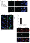 FIG 2