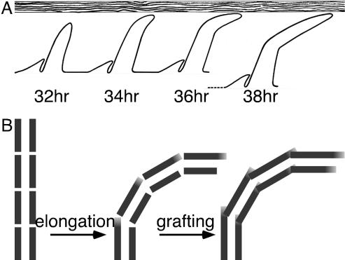 Figure 11.