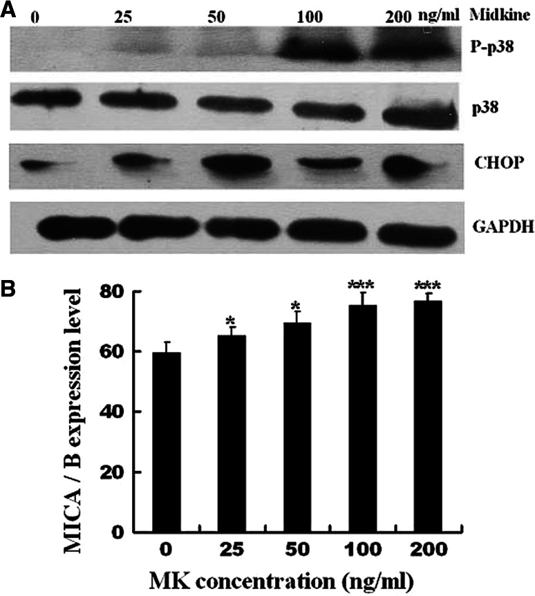 Fig. 5