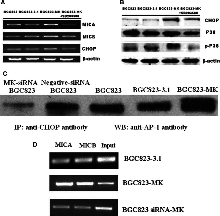 Fig. 6