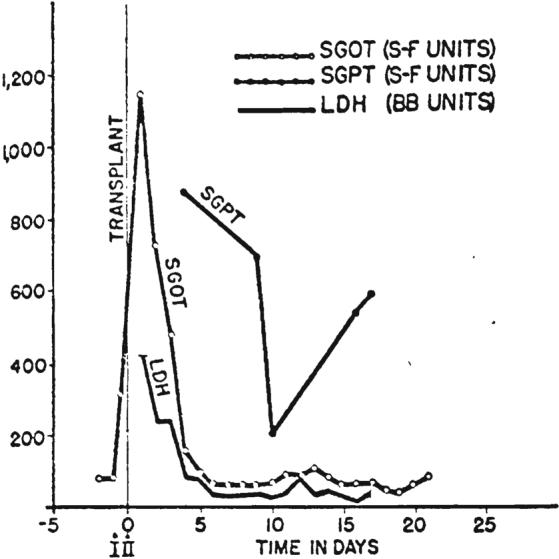 FIG. 13