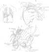 FIG. 5