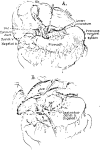 FIG. 6