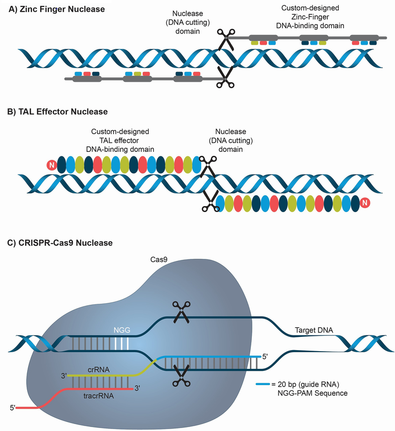 Figure 2: