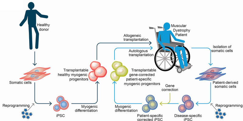 Figure 1: