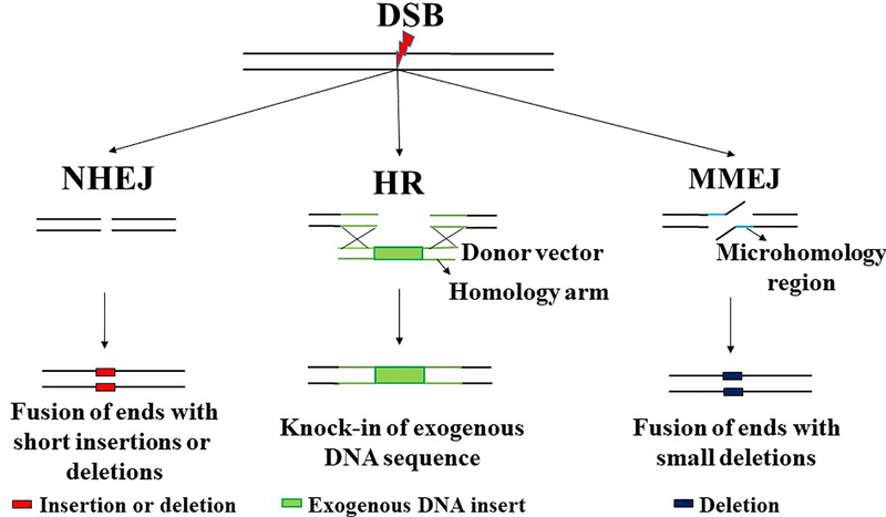 Figure 3: