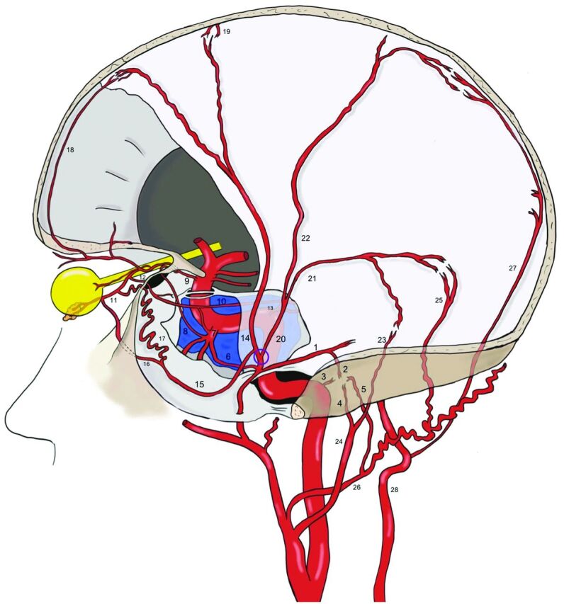 FIG 4.