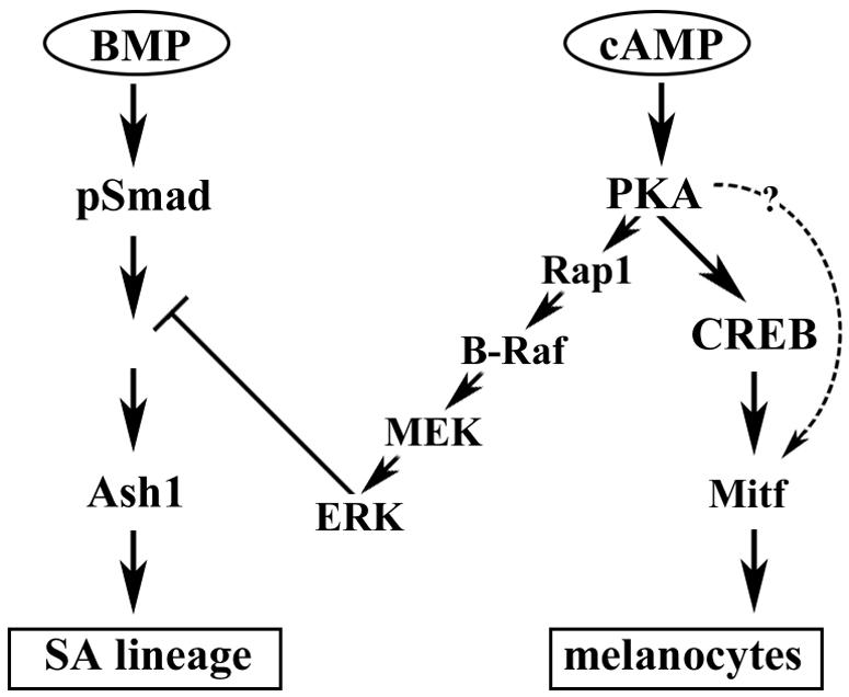 FIG. 7.