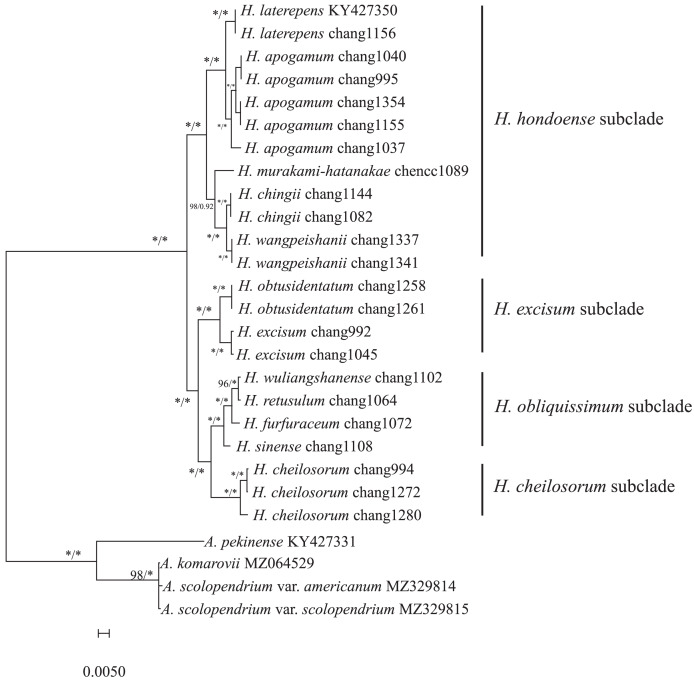 Figure 6