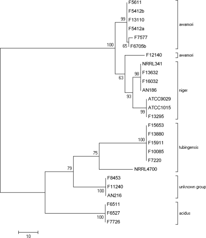 Fig. 3.