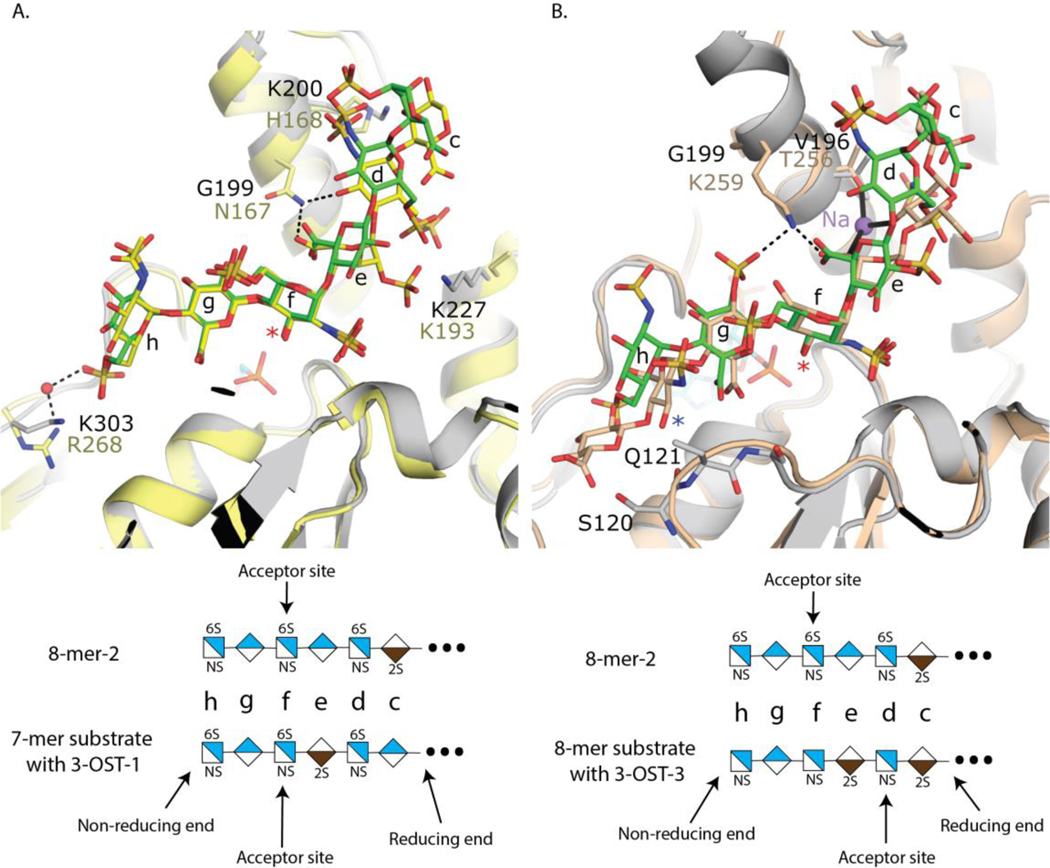 Fig 6.