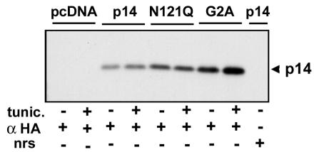 FIG. 5.