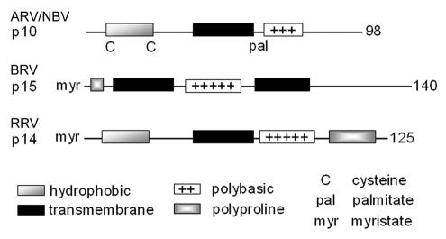 FIG. 9.