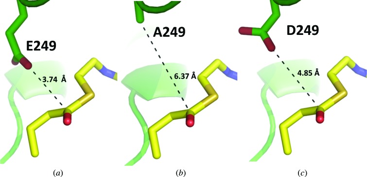 Figure 7