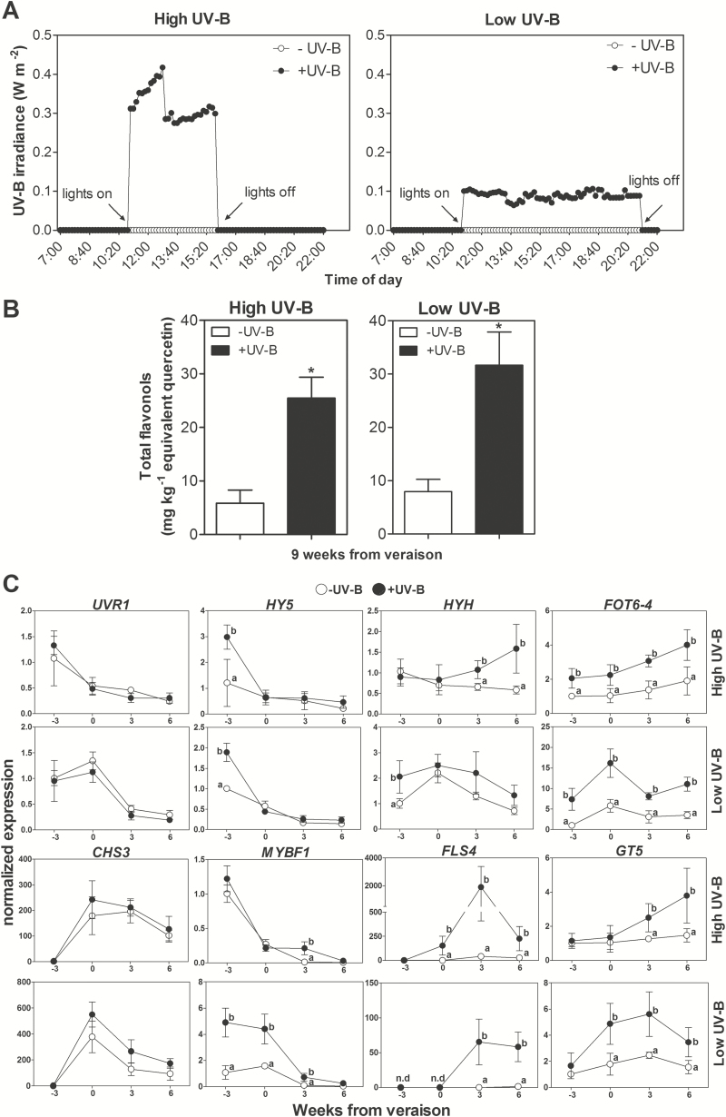 Fig. 8.