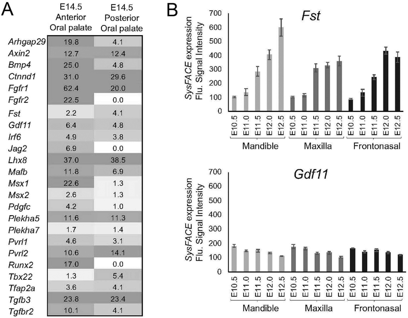 Figure 2: