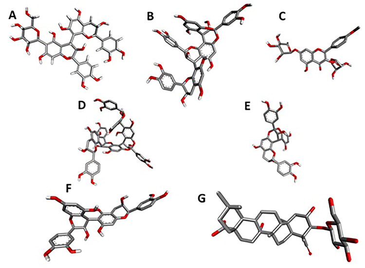 Figure 11.