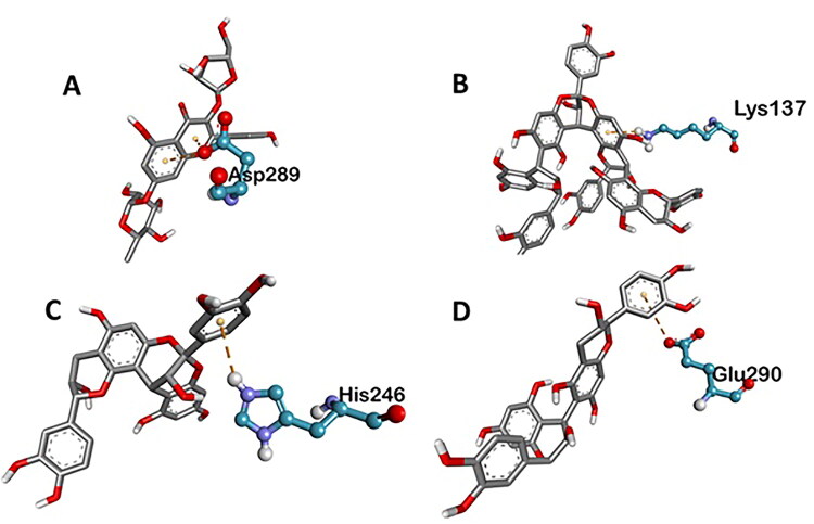 Figure 5.