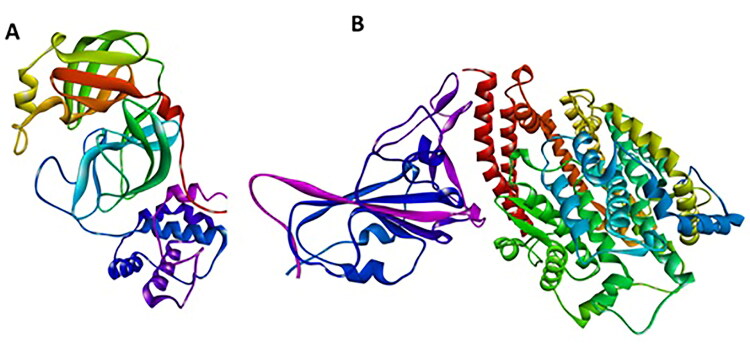 Figure 1.