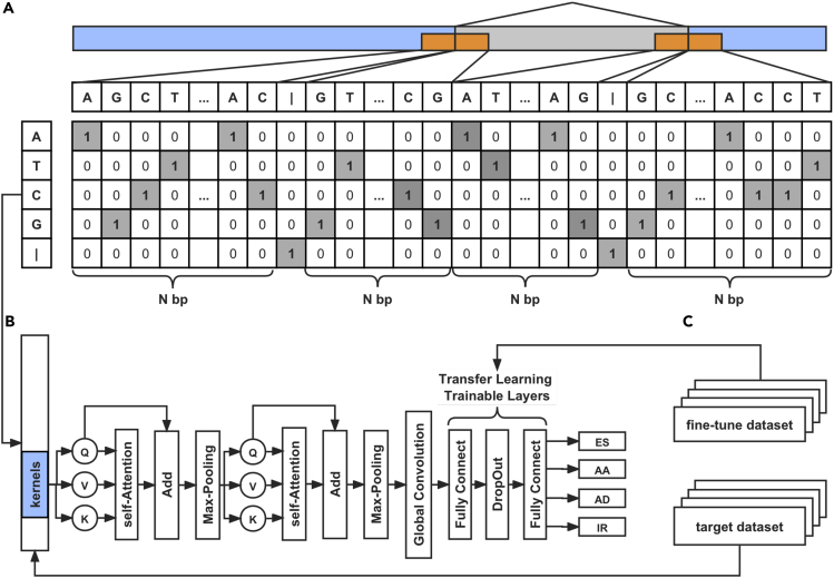 Figure 3