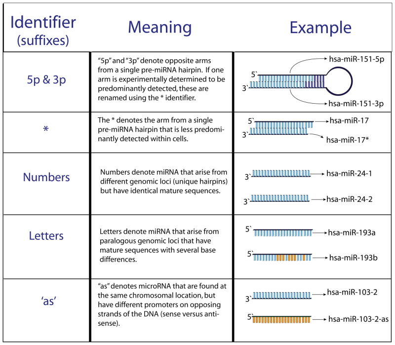 Figure I of Box 1