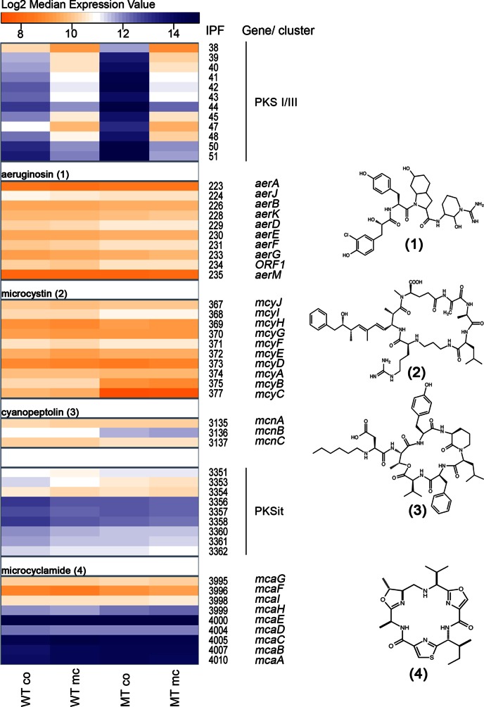 FIG 4