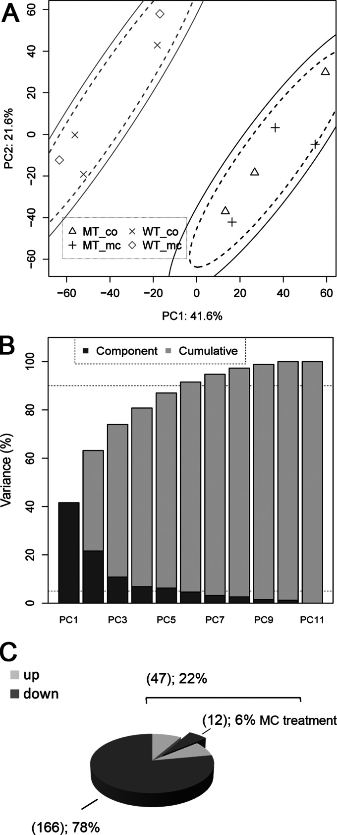 FIG 1