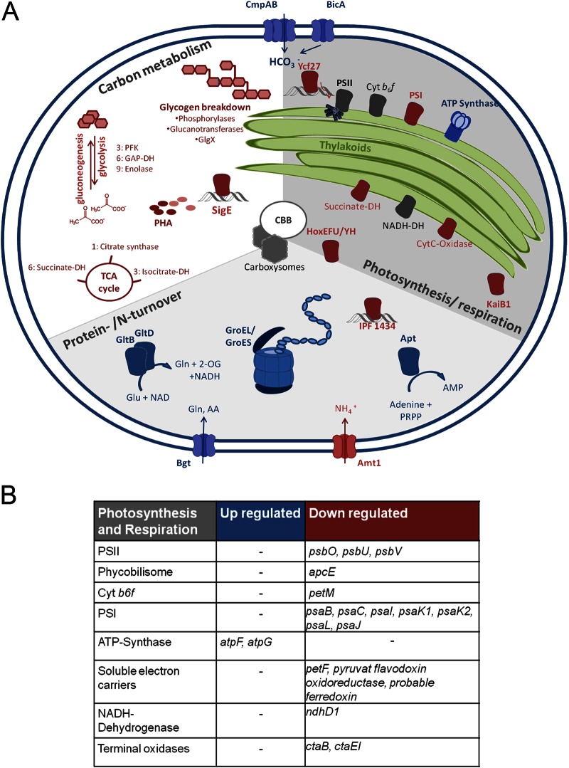 FIG 3