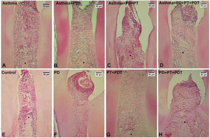 Fig 10