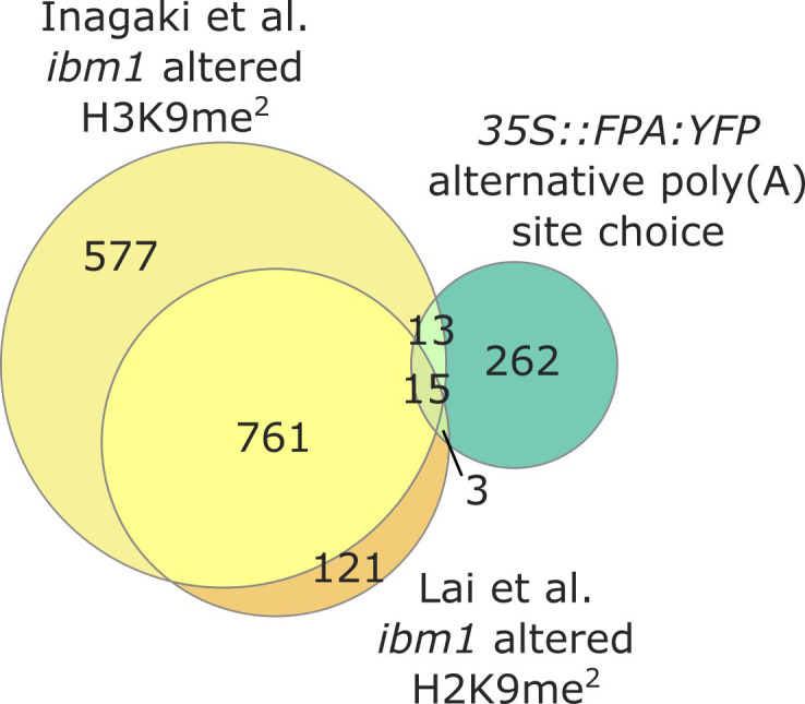 Figure 2—figure supplement 4.